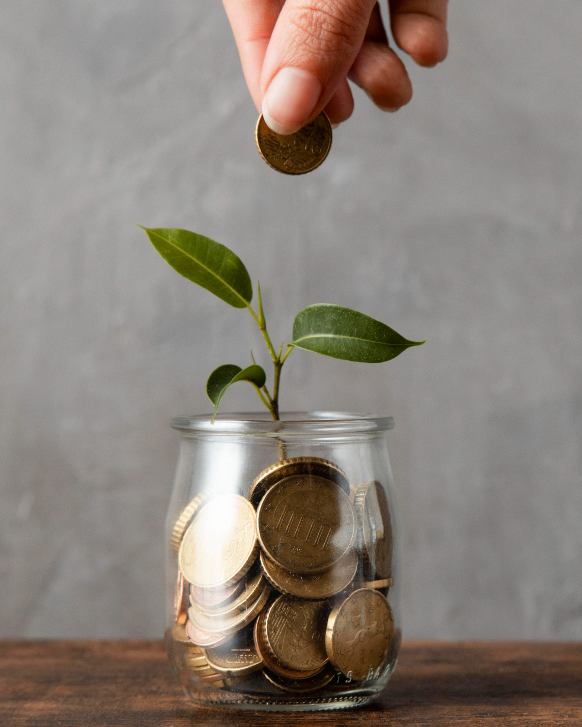 Business line of credit to fuel your growth.